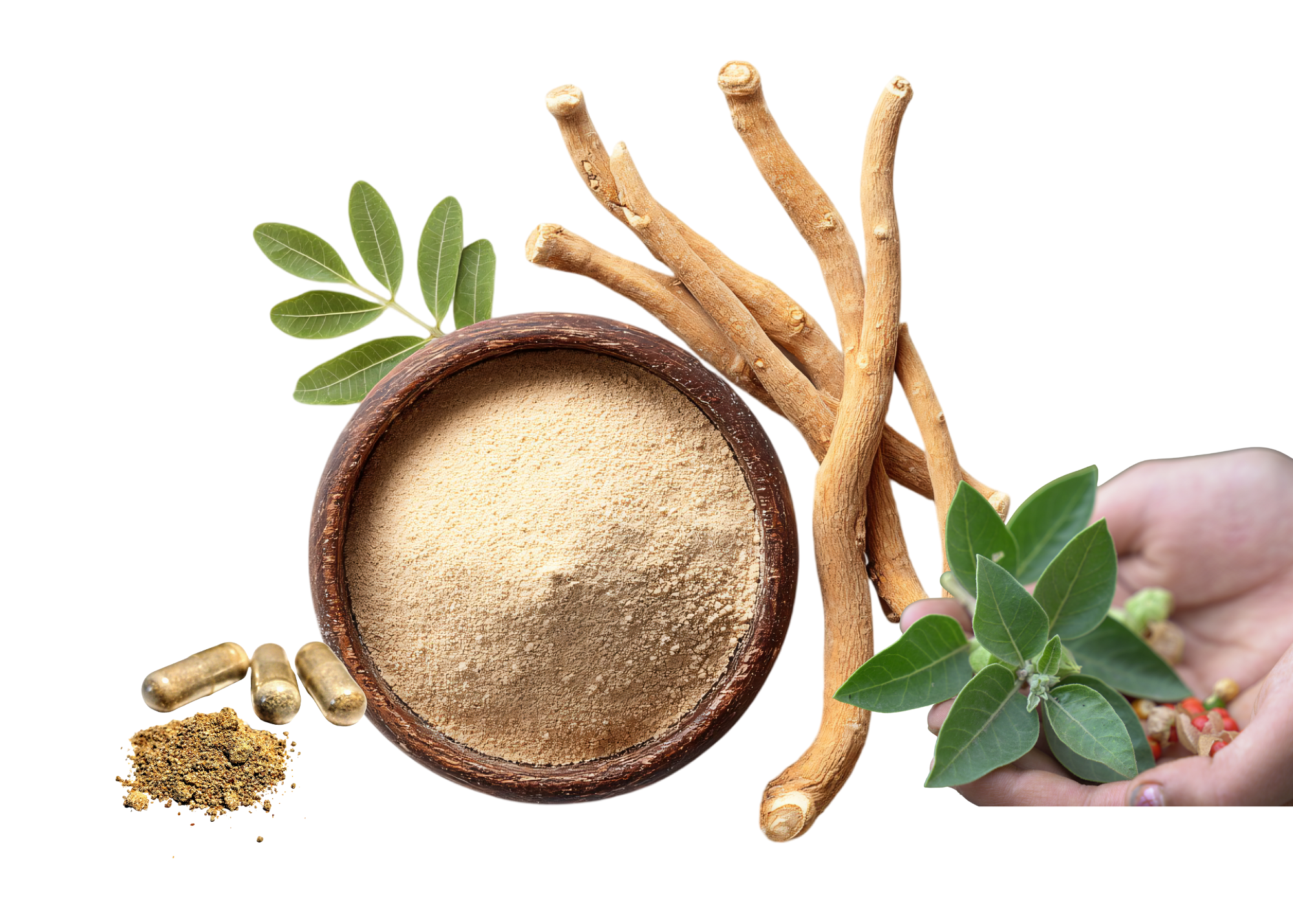 ashwagandha benefits
